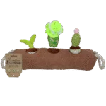 Gioco olfattivo per cani con piantine rimovibili – Garden Paws Snuffle Box Sprout, Crop & Cactus