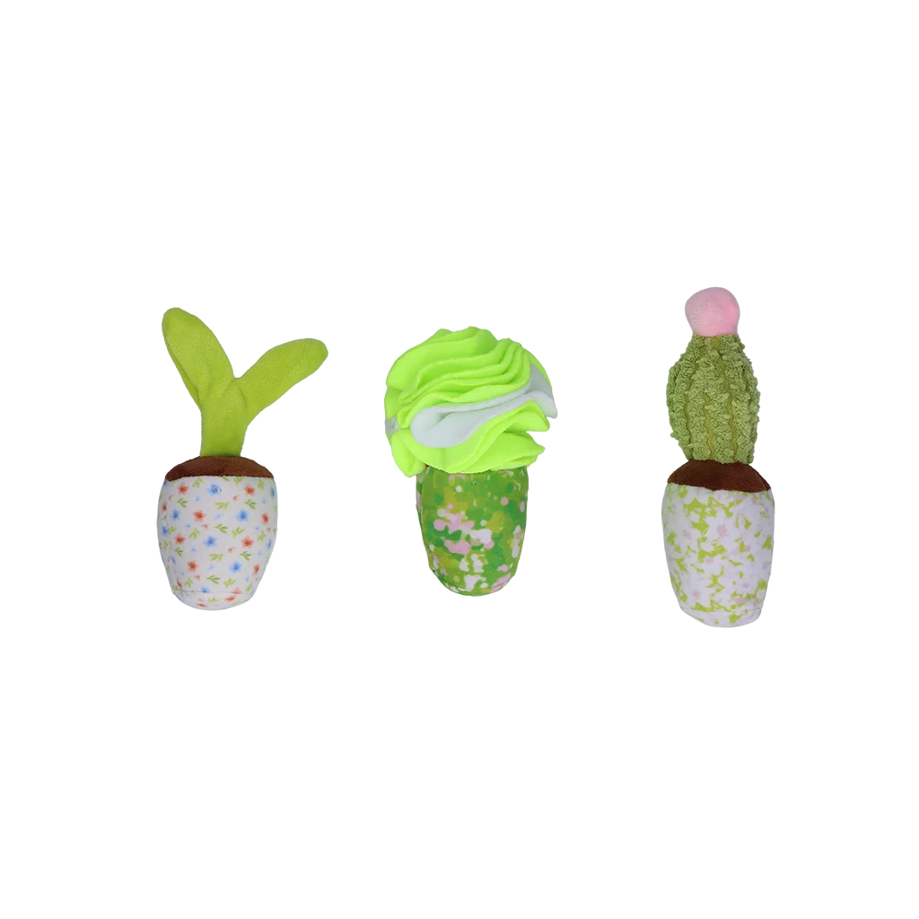 Gioco olfattivo per cani con piantine rimovibili – Garden Paws Snuffle Box Sprout, Crop & Cactus - immagine 2