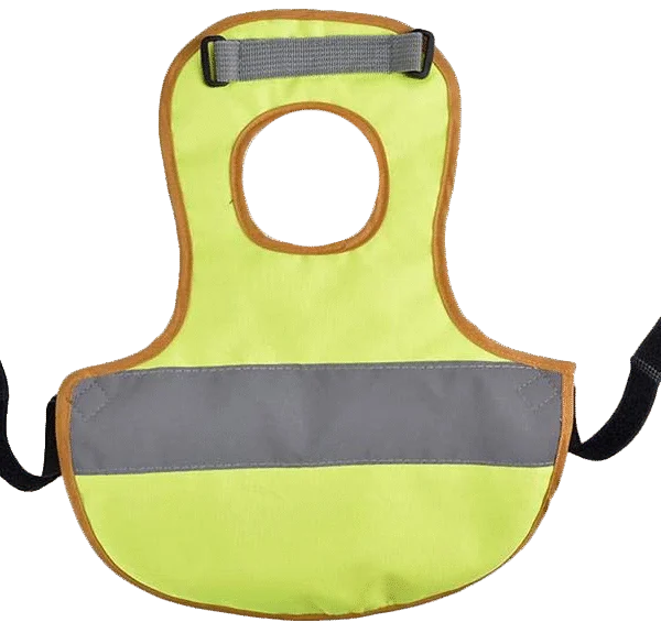 Gilet per galline con striscia fluorescente, 24 x 31,5 cm – Gaun