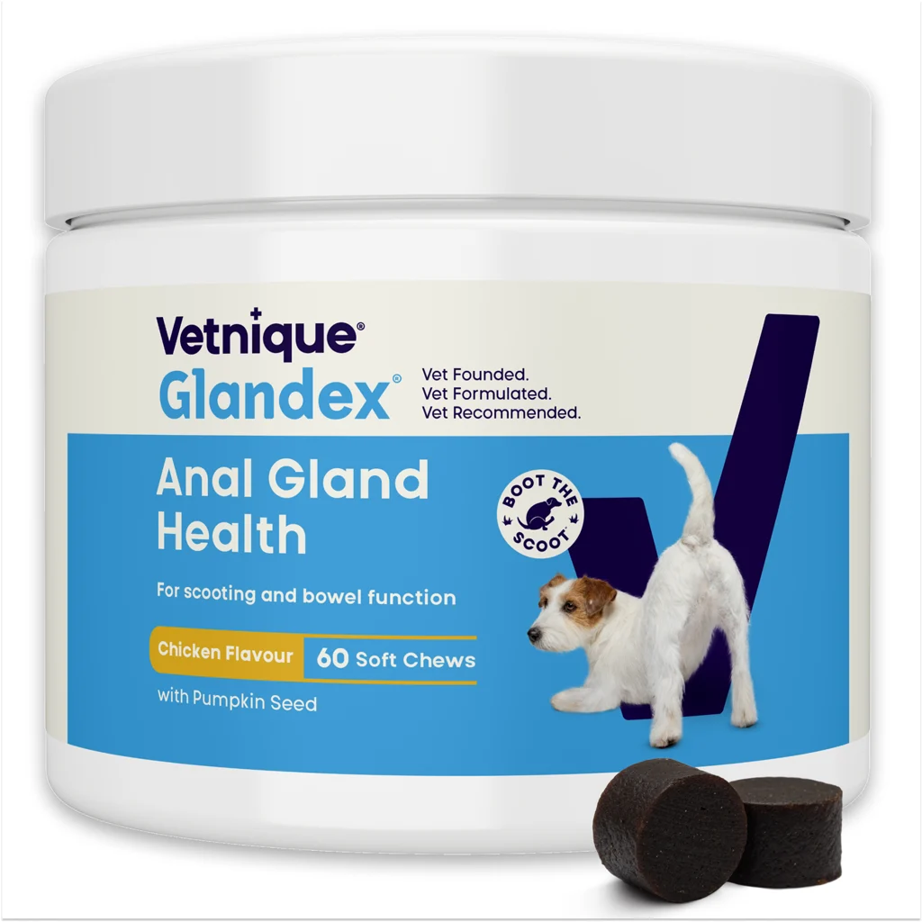 Snack per cani al gusto di pollo con probiotici, 60 pezzi (240 g) – Glandex Soft Chews - immagine 1