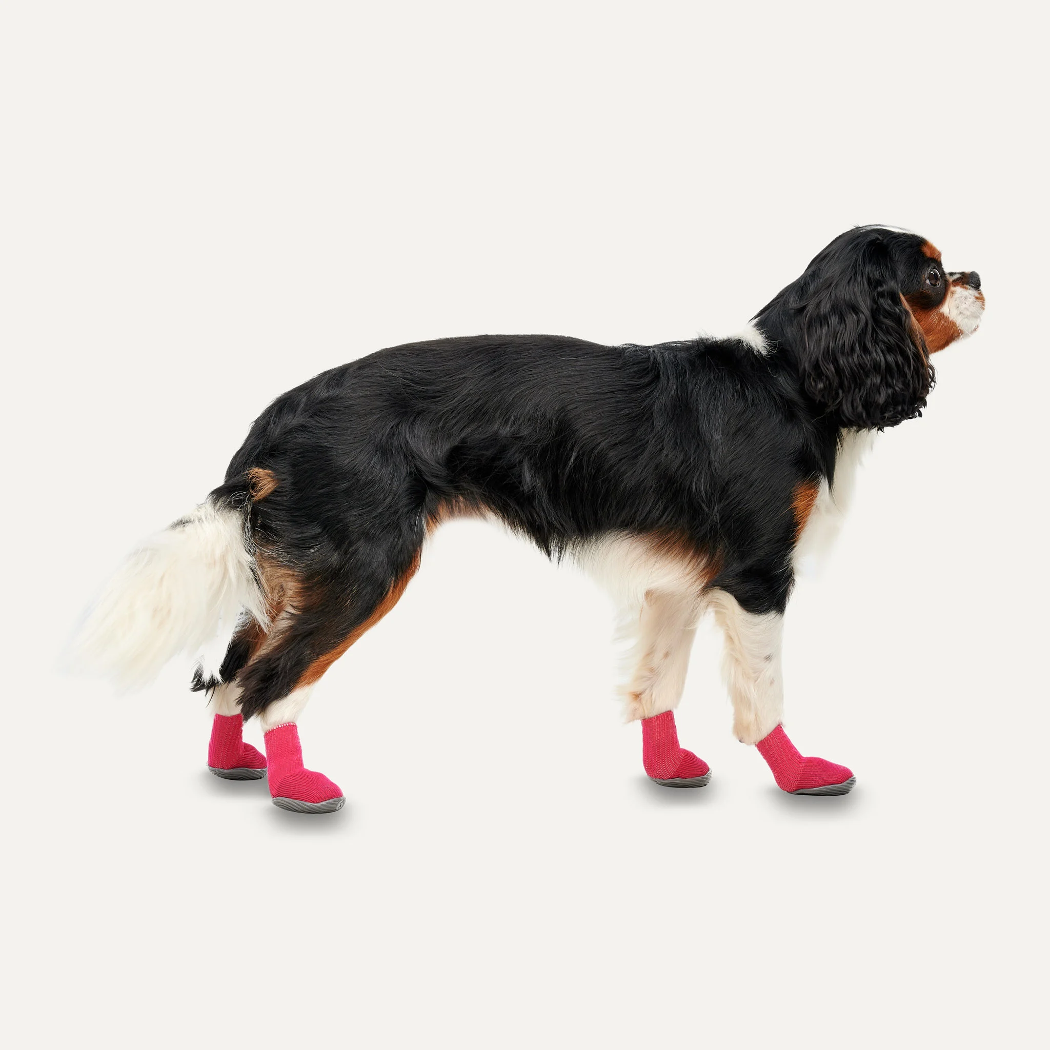 Scarpe per cani con suola antiscivolo, impermeabili, taglia M, rosse e nere, 2 pezzi – Goo-eez Ultras - immagine 2