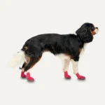 Scarpe per cani con suola antiscivolo, impermeabili, taglia XL, rosso e nero, 2 pezzi – Goo-eez Ultras - immagine 2