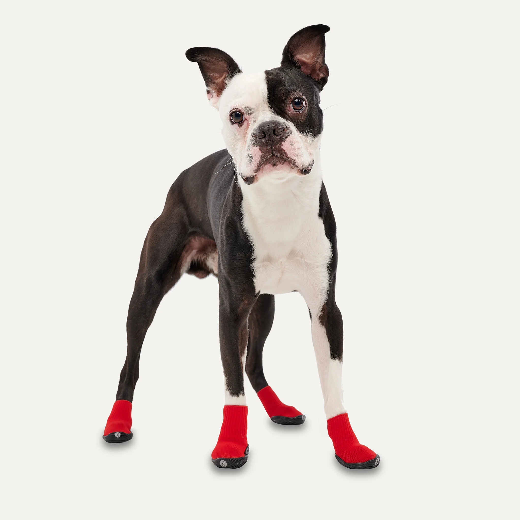 Scarpe per cani con suola antiscivolo, impermeabili, taglia XL, rosso e nero, 2 pezzi – Goo-eez Ultras - immagine 3