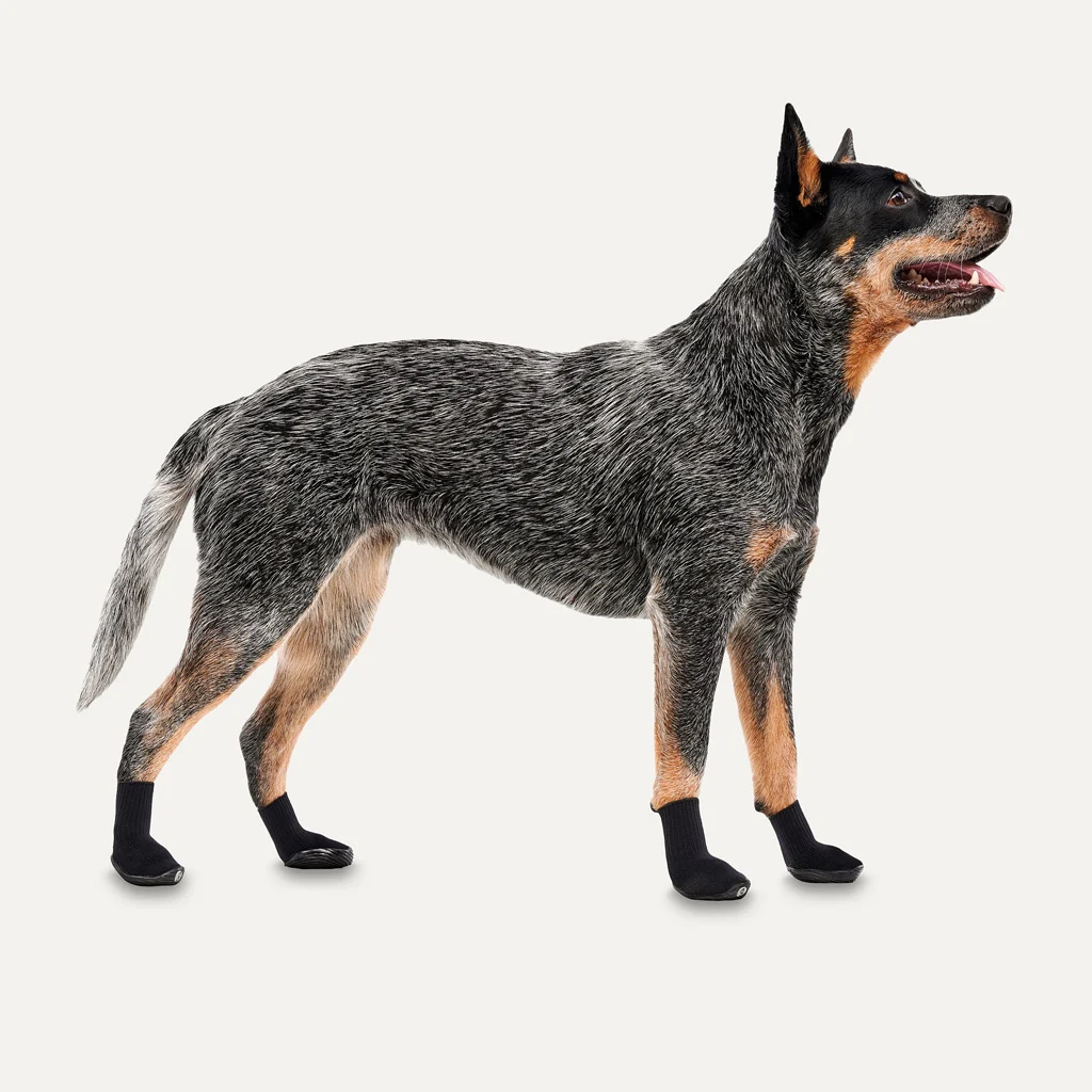 Scarpe per cani con suola in gomma, impermeabili, taglia XXS, nere, 4 pezzi – Goo-eez Lites - immagine 2