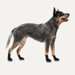 Scarpe impermeabili per cani con suola in gomma, 4 pezzi, XS, nere – Goo-eez Lites - immagine 2