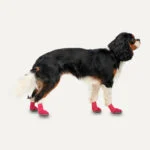 Scarpe impermeabili per cani con suola in gomma, 4 pezzi, XXL, rosse e nere – Goo-eez Lites - immagine 2