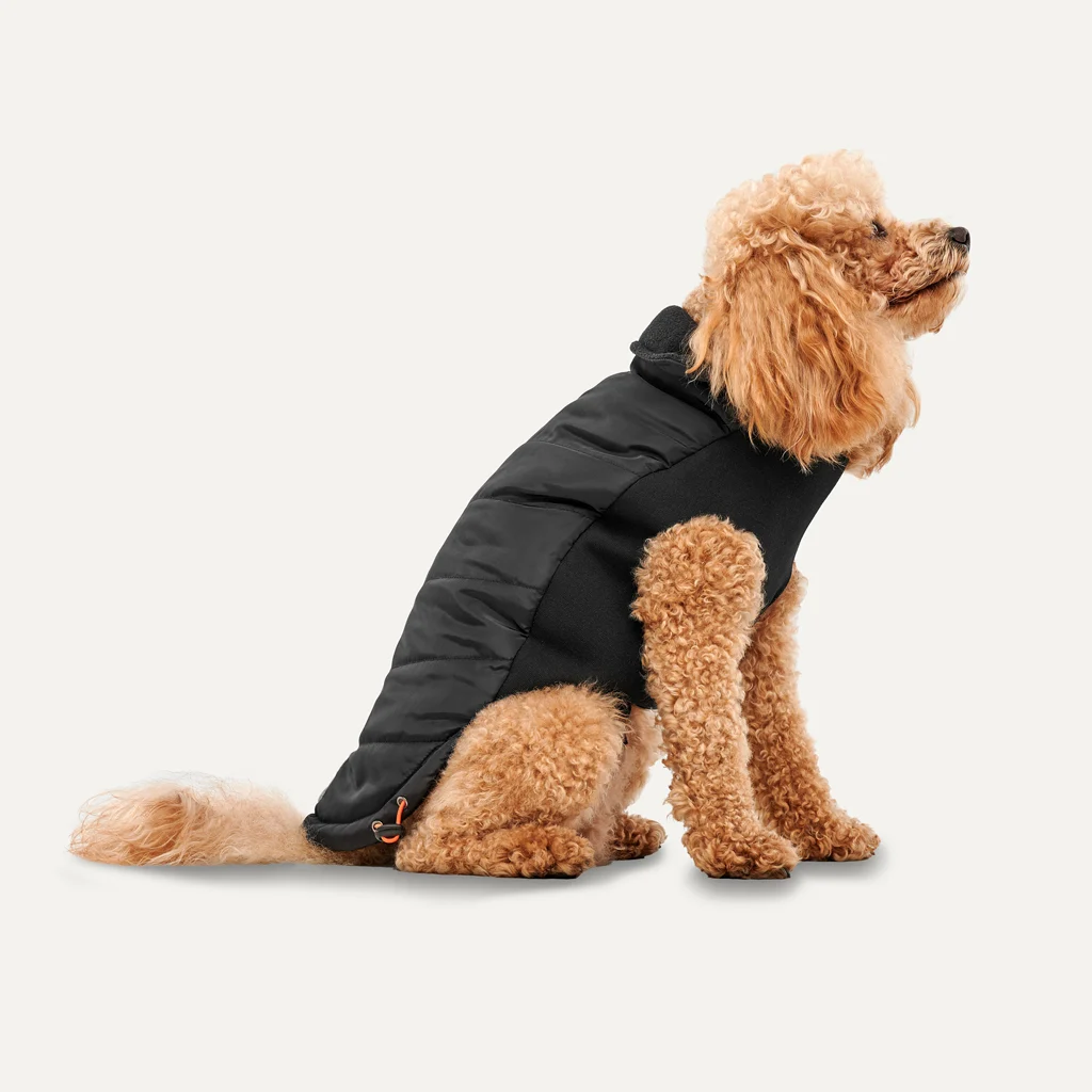 Cappotto per cani con fodera in peluche, idrorepellente, M, dorso lungo 45 cm, nero – Goo-eez Mock Neck Signature Wrap Jacket - immagine 1