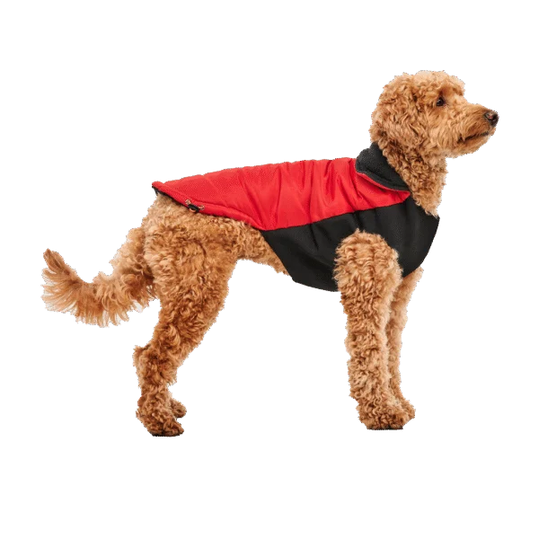Giacca per cani con fodera in peluche, idrorepellente, M, lunghezza della schiena 45 cm, rossa e nera – Goo-eez Mock Neck Signature Wrap Jacket