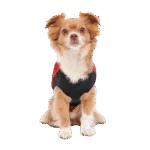 Giacca per cani con fodera in peluche, idrorepellente, L, lunghezza della schiena 52 cm, rossa e nera – Goo-eez Mock Neck Signature Wrap Jacket - immagine 5