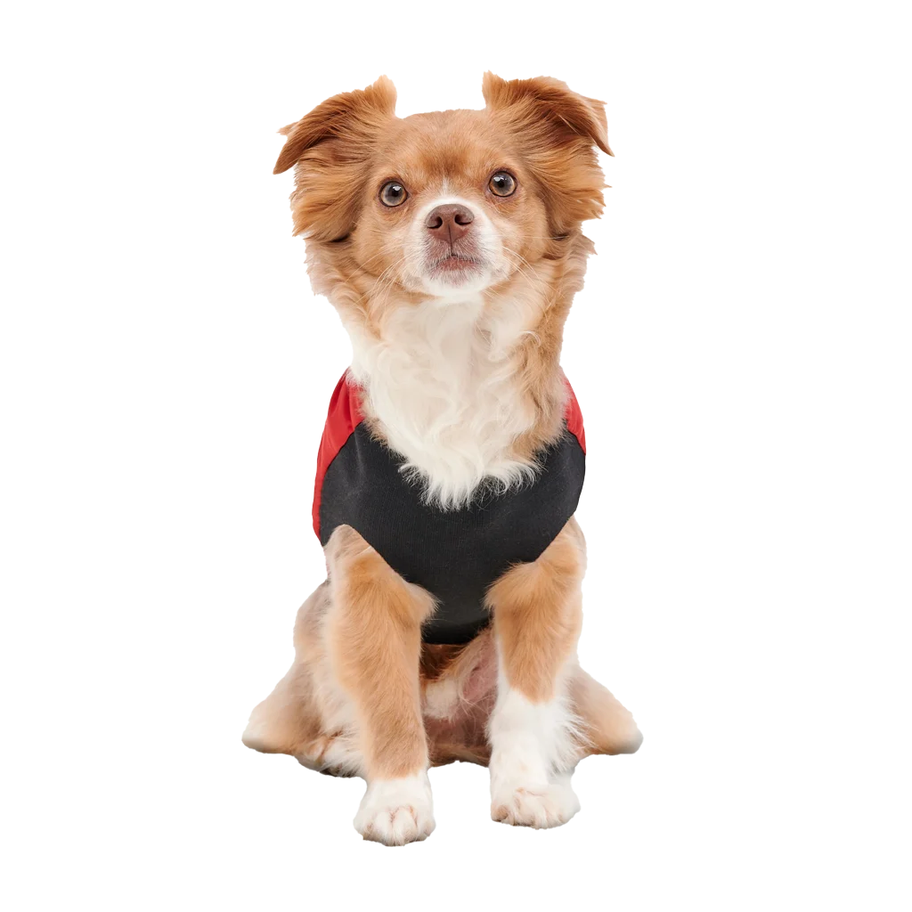 Giacca per cani con fodera in peluche e esterno idrorepellente, taglia XXL, rosso e nero – Goo-eez Mock Neck Signature Wrap Jacket - immagine 5