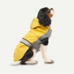 Giacca antipioggia per cani con cappuccio e bordo riflettente, XS, lunghezza del dorso 29 cm, giallo e grigio – Goo-eez Reflective Hooded Raincoat