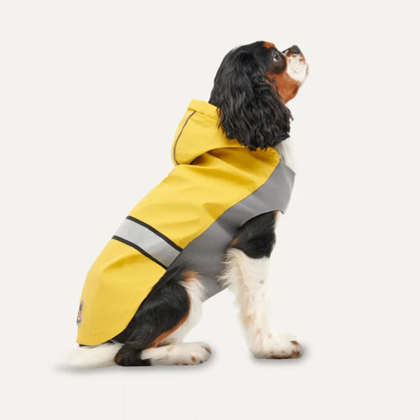 Giacca antipioggia per cani con cappuccio e bordo riflettente, XS, lunghezza del dorso 29 cm, giallo e grigio – Goo-eez Reflective Hooded Raincoat