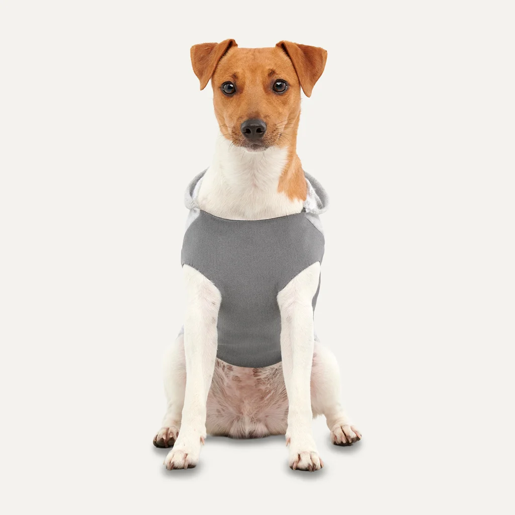 Felpa in pile per cani con fodera in peluche, taglia S, grigio – Goo-eez Kangaroo Fleece Hoodie - immagine 3