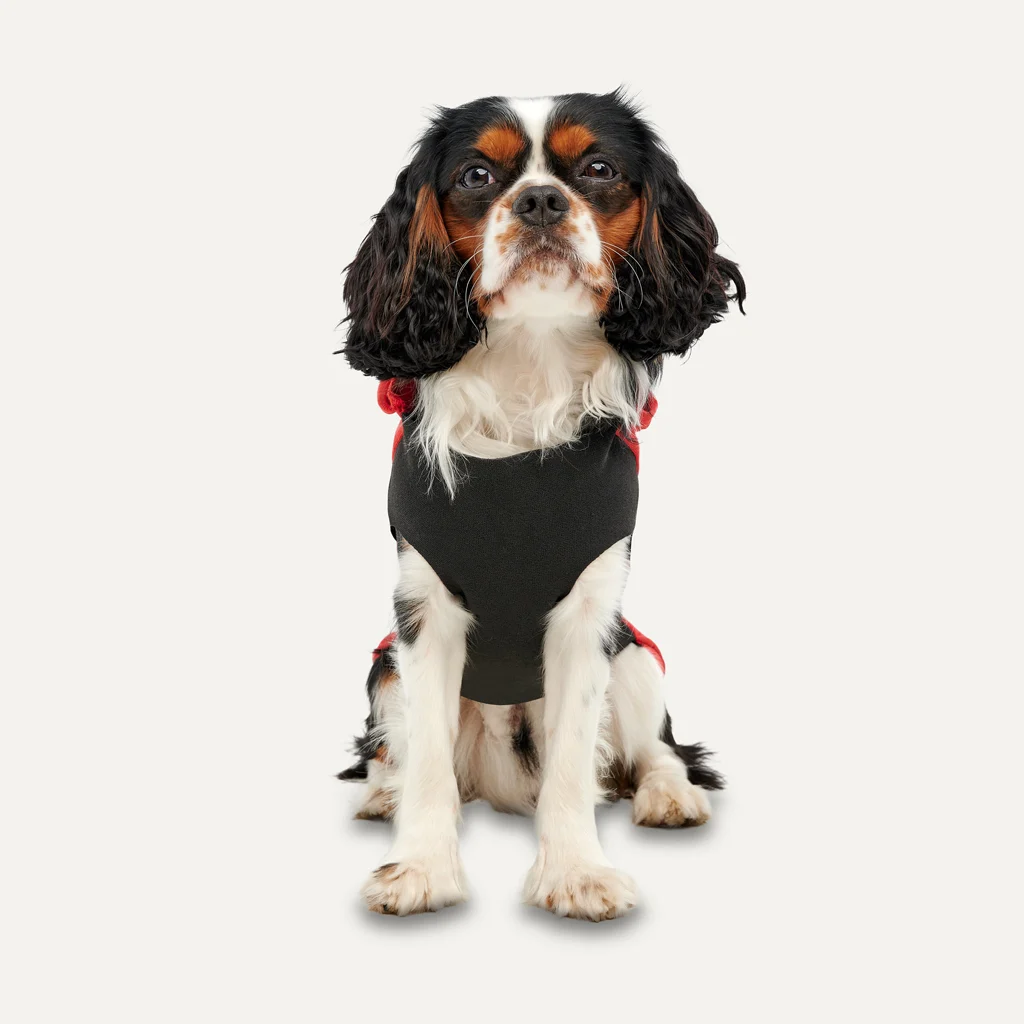 Felpa in pile per cani con fodera in peluche, taglia L, rossa e nera – Goo-eez Kangaroo Fleece Hoodie - immagine 2