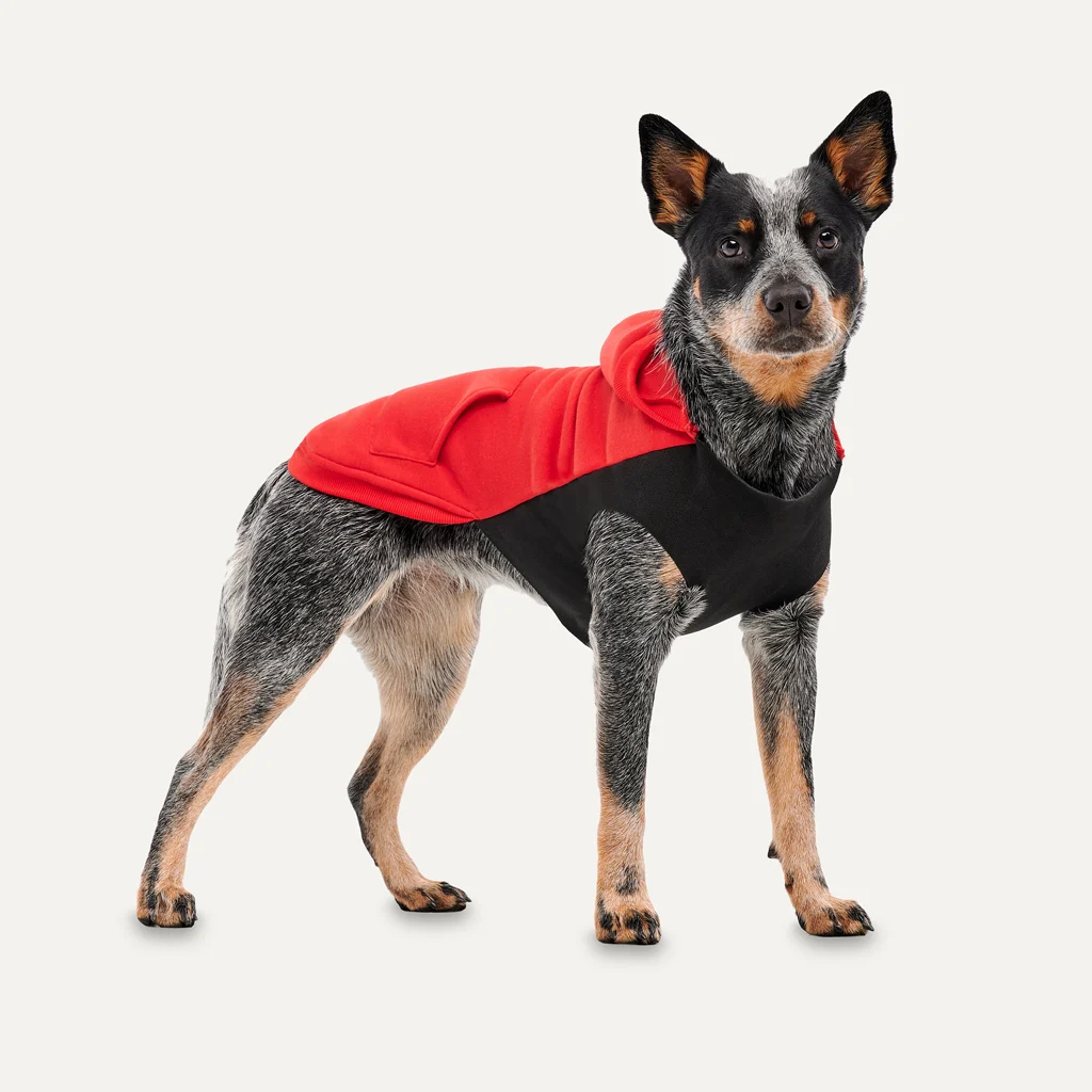 Felpa in pile per cani con fodera in peluche, taglia L, rossa e nera – Goo-eez Kangaroo Fleece Hoodie - immagine 3