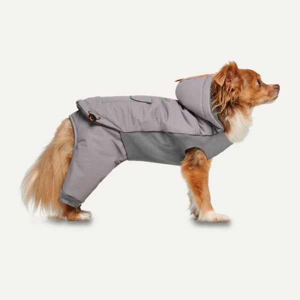 Tuta da neve per cani con cappuccio, impermeabile, XL, lunghezza del dorso 56 cm, grigia – Goo-eez Hooded Full Body Snowsuit