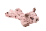 Peluche per cani con 5 squeaker e carta frusciante – Growl Cuddlerz Snorters il Maiale - immagine 3