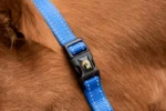 Cavezza in nylon con nasale regolabile, blu XS – Excellent Essential - immagine 2