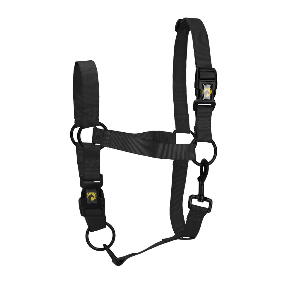 Halster van Nylon met Verstelbare Neusriem en Kopstuk, Zwart S – Excellent Essential Cavezza in nylon con nasale e testiera regolabili, nera S – Excellent Essential