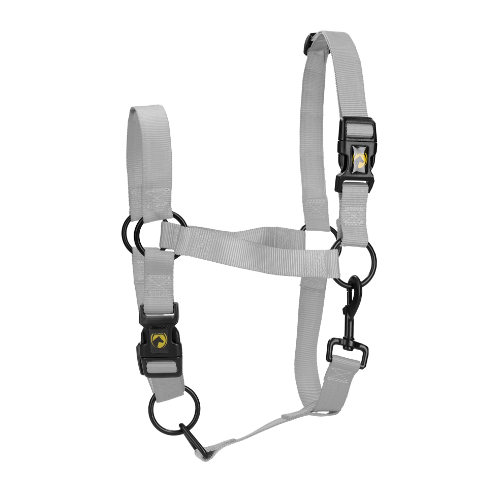 Halster van Nylon met Verstelbare Neusriem, Grijs S – Excellent Essential Cavezza in nylon con nasiera regolabile, grigia S – Excellent Essential