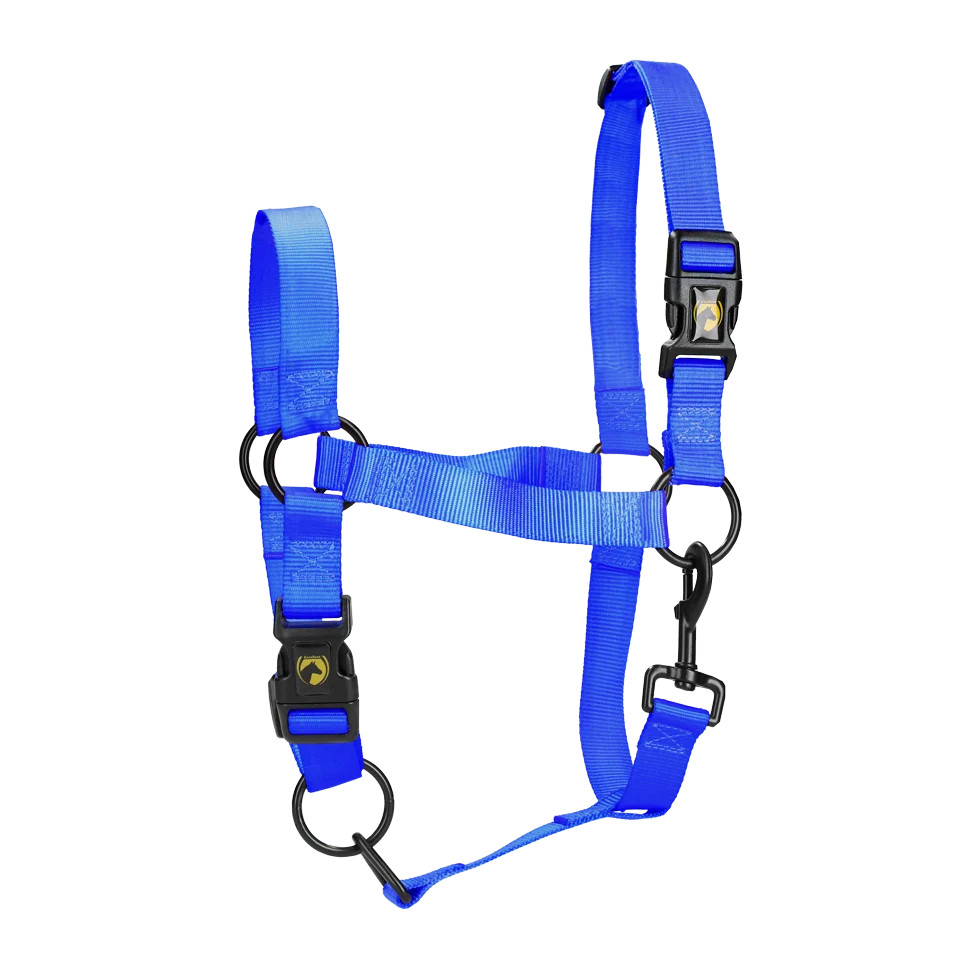 Cavezza in nylon con nasalina regolabile, blu M – Excellent Essential - immagine 1