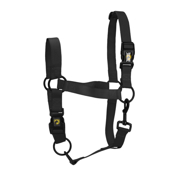 Cavezza in nylon nera con noseband e testiera regolabili, M – Excellent Essential