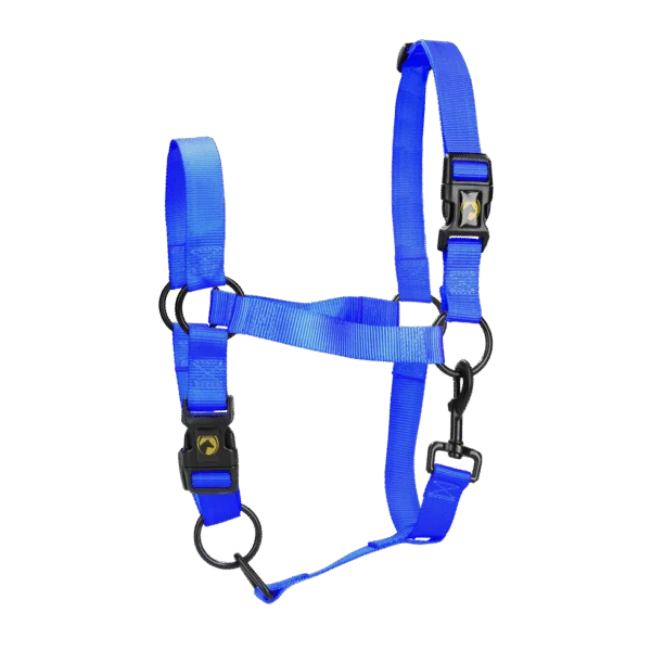Cavezza in nylon con nasalina regolabile, blu XL – Excellent Essential