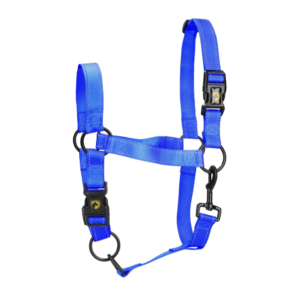Capezza in nylon con dettagli riflettenti blu S – Excellent Premium