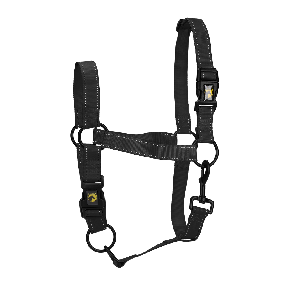 Halster van Nylon met Reflecterende Details, Zwart M – Excellent Premium Cavezza in nylon con dettagli riflettenti, Nera M – Excellent Premium
