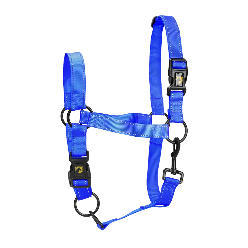 Cavezza in nylon con dettagli riflettenti blu L – Excellent Premium - immagine 1
