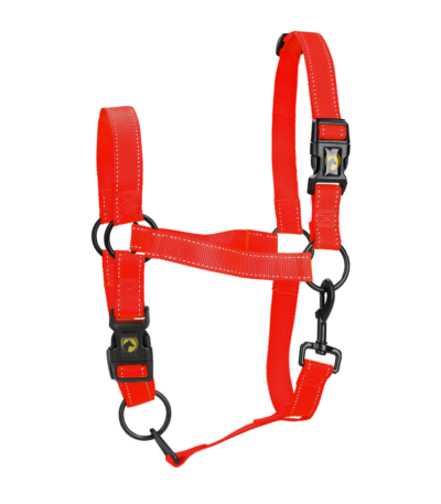 Cavezza in nylon con dettagli riflettenti rossa L – Excellent Premium