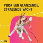 Olio per la cura della pelle dei cani con olio di semi di canapa, 20 ml – Excellent Pets HempOne Oil - immagine 4