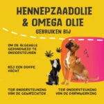 Miscela di oli per cani e gatti con olio di semi di canapa, 100 ml – Excellent Pets HempOne + Omega Oil - immagine 2
