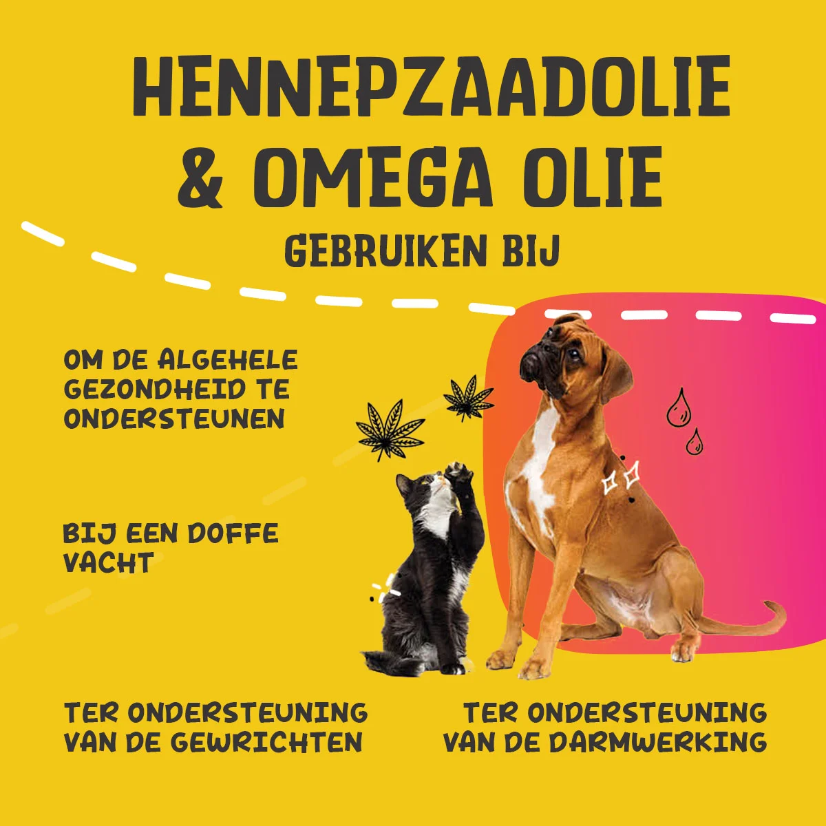 Miscela di oli per cani e gatti con olio di semi di canapa, 250 ml – Excellent Pets HempOne + Omega Oil - immagine 6