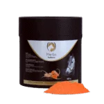 Curcuma per cavalli con pepe nero, 500 g – Excellent Horse Herbs Curcuma