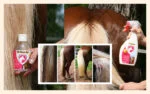 Spray districante per criniera e coda, 500 ml – Excellent Horse Hi Gloss Spray - immagine 2