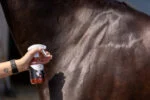 Spray glitter per mantello, criniera e coda, 250 ml – Excellent Horse Hi Gloss Glitter Spray Orange - immagine 2