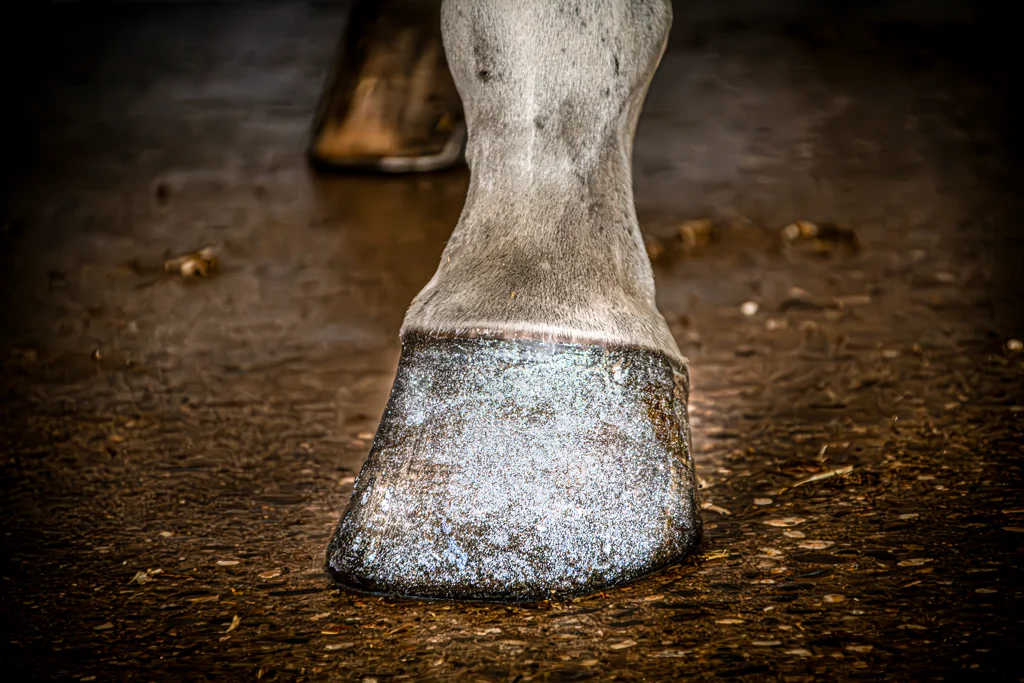 Smalto glitter per zoccoli Argento, 150 ml – Excellent Horse Hi Gloss Glitter Hoof Polish - immagine 2