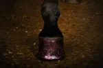 Smalto glitterato rosa per zoccoli, 150 ml – Excellent Horse Hi Gloss Glitter Hoof Polish - immagine 2