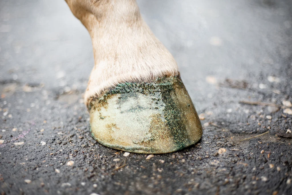 Smalto glitterato verde per zoccoli, 150 ml – Excellent Horse Hi Gloss Glitter Hoof Polish - immagine 3