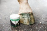 Smalto glitterato verde per zoccoli, 150 ml – Excellent Horse Hi Gloss Glitter Hoof Polish - immagine 4