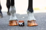 Smalto glitterato arancione per zoccoli, 150 ml – Excellent Horse Hi Gloss Glitter Hoof Polish - immagine 3