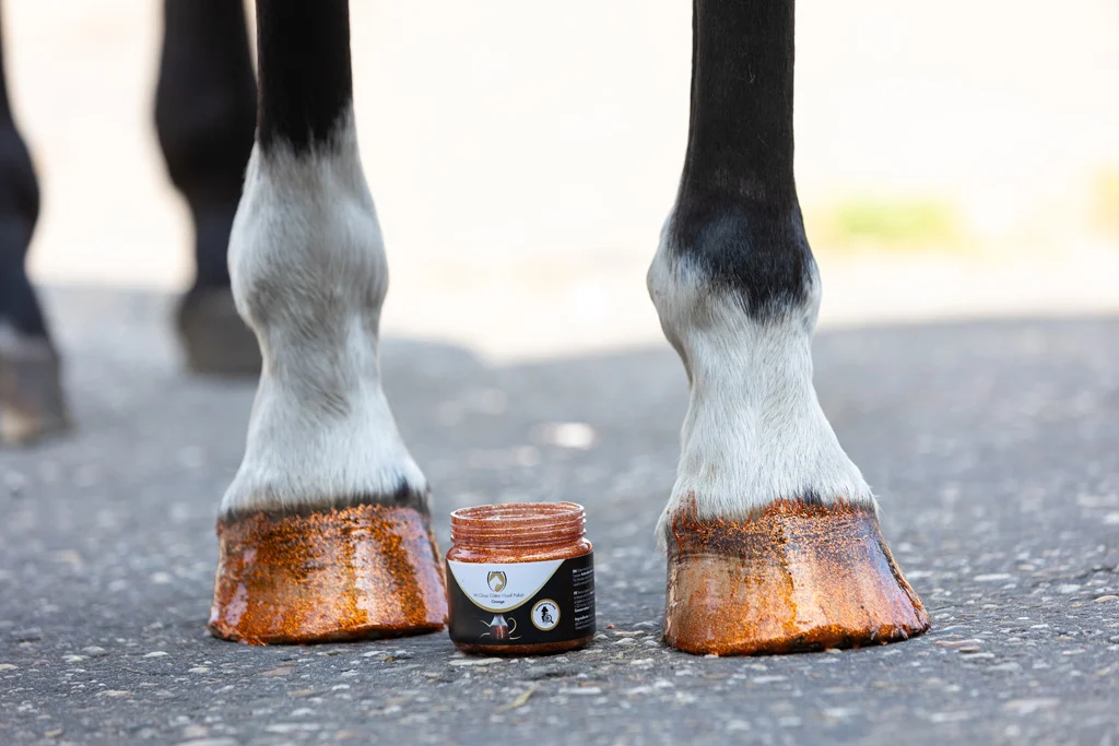 Smalto glitterato arancione per zoccoli, 150 ml – Excellent Horse Hi Gloss Glitter Hoof Polish - immagine 3