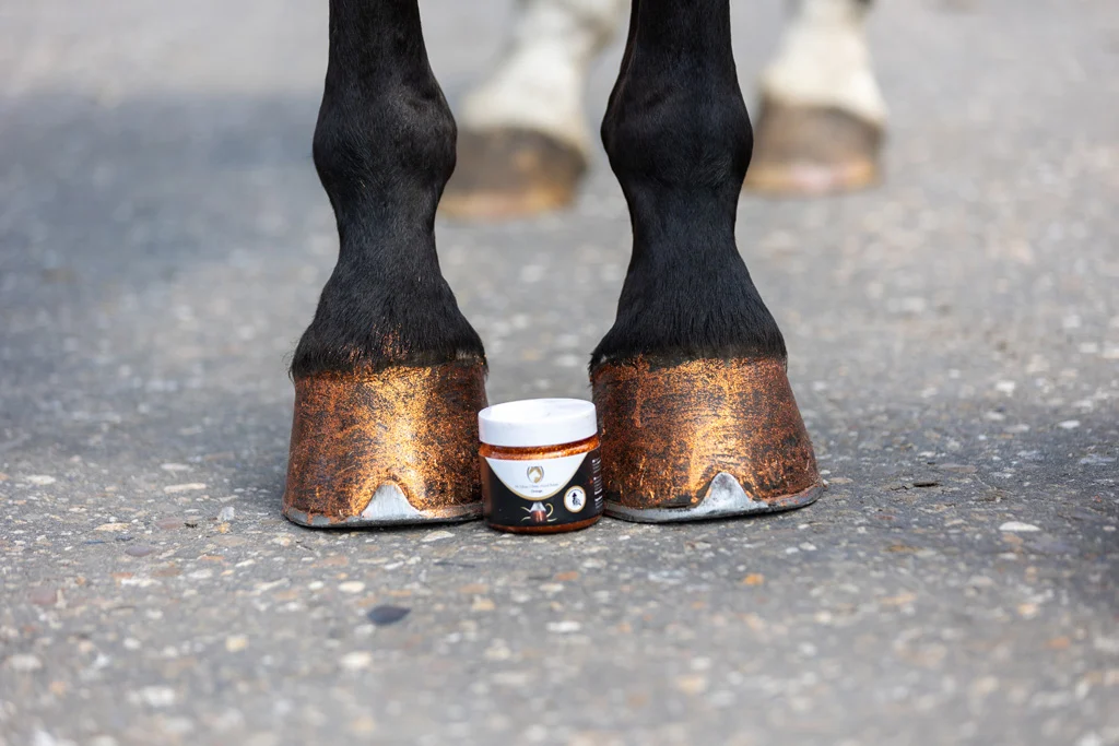 Smalto glitterato arancione per zoccoli, 150 ml – Excellent Horse Hi Gloss Glitter Hoof Polish - immagine 2