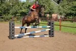 Blocco per ostacoli per l’allenamento di salto, 41,5 x 30 x 30 cm – Excellent Horse Cube - immagine 3