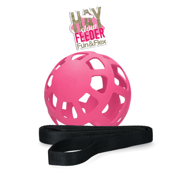 Palla per il fieno per cavalli in gomma naturale, rosa, diametro circa 22 cm – Hay Slow Feeder Fun & Flex