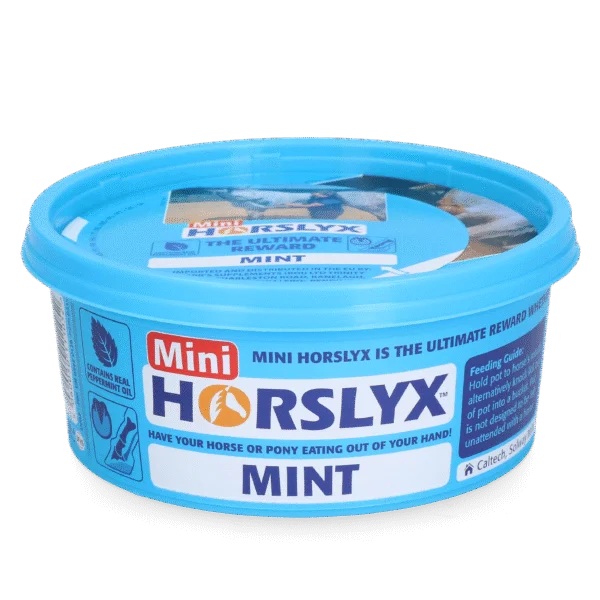Leccornia per cavalli come ricompensa, 650 g – Horslyx Mini alla menta