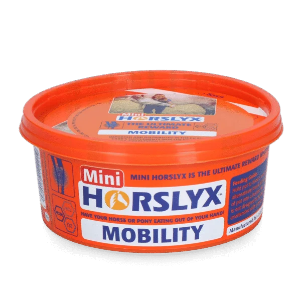 Blocco da leccare per cavalli come ricompensa, 650 g – Horslyx Mini Mobilità