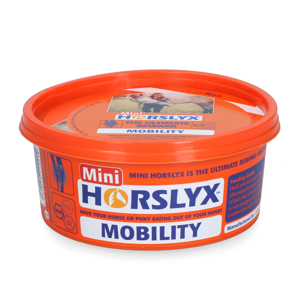 Blocco da leccare per cavalli come ricompensa, 650 g – Horslyx Mini Mobilità - immagine 1
