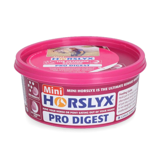 Leccornia per cavalli da offrire come premio, 650 g – Horslyx Mini Spijsvertering